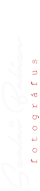 logo-mini